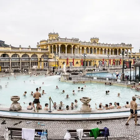 Cuddle Corner * Budapest