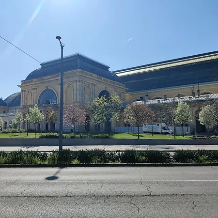 Cuddle Corner * Budapesta